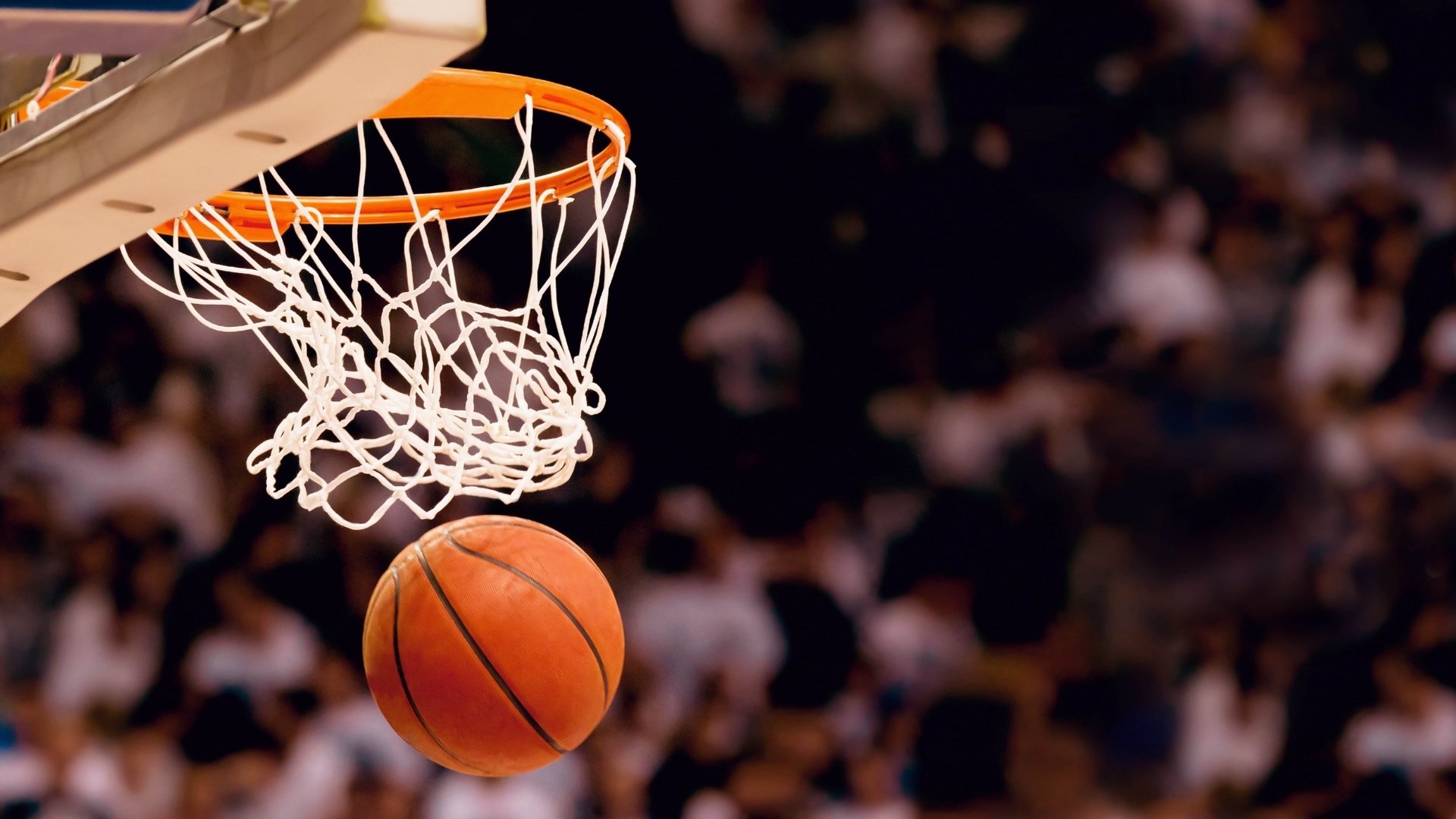 Leyu Sport下载-体育新媒体内容创作人才培养体系研究，新媒体育人的理念
