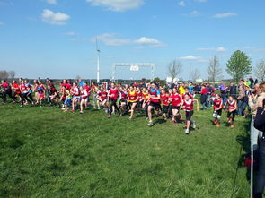 乐鱼电竞在线平台登录入口-青少年体育活动参与动力分析，青少年的体育活动