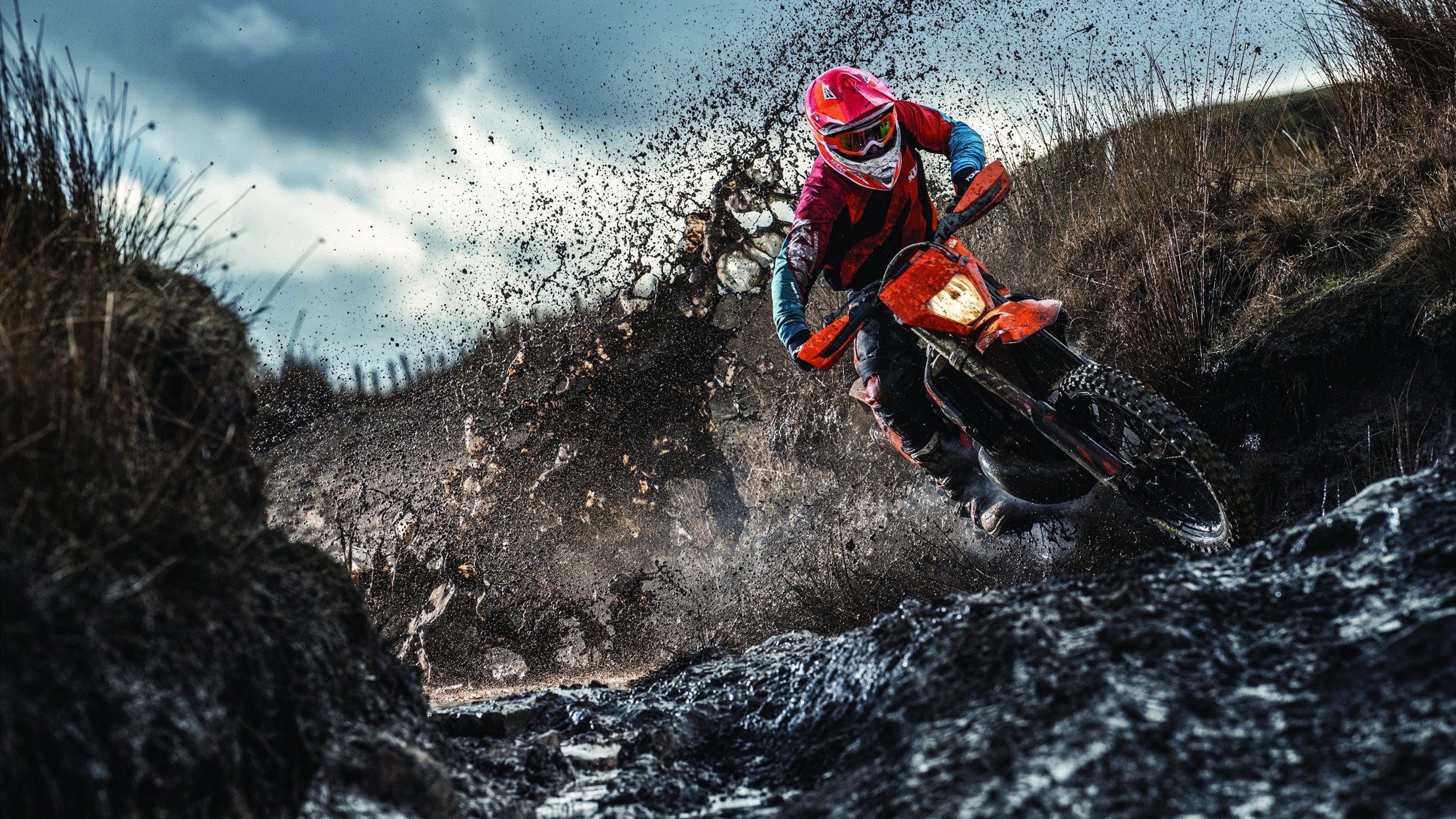 体育纪录片讲述幕后团队故事引发热议，体育纪录片策划